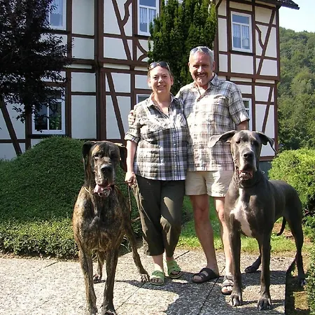Familienfreundliche, Komfortable Ferienwohnung Mit Garten Apartment Bad Sachsa